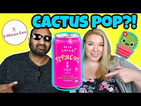 De La Calle Tepache Cactus Prickly Pear Review - YouTube