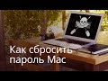 Как сбросить пароль на Mac и как от этого защититься