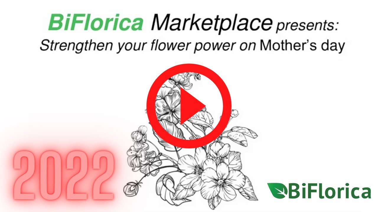 Wholesale Flower Shopping With The Best Online Marketplace Biflorica
