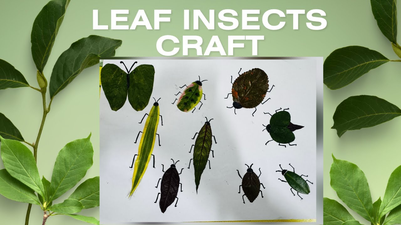 Leaf Insect Making Leaf Insect Craft for Kids | Fun DIY Bug Art with Leaves πΏππ¦ - YouTube