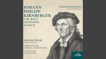 Harpsichord Sonata in C Major, EngK 9: II. Allegro