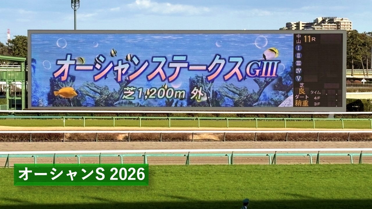 2026年 オーシャンステークス | ペアポルックス | レイピア | ルガル | ママコチャ | 現地レース映像 | 中山競馬場 | スマシ観戦 | 芝1,200