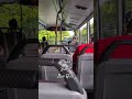 Peaceful Bus Ride #travel #publictransport