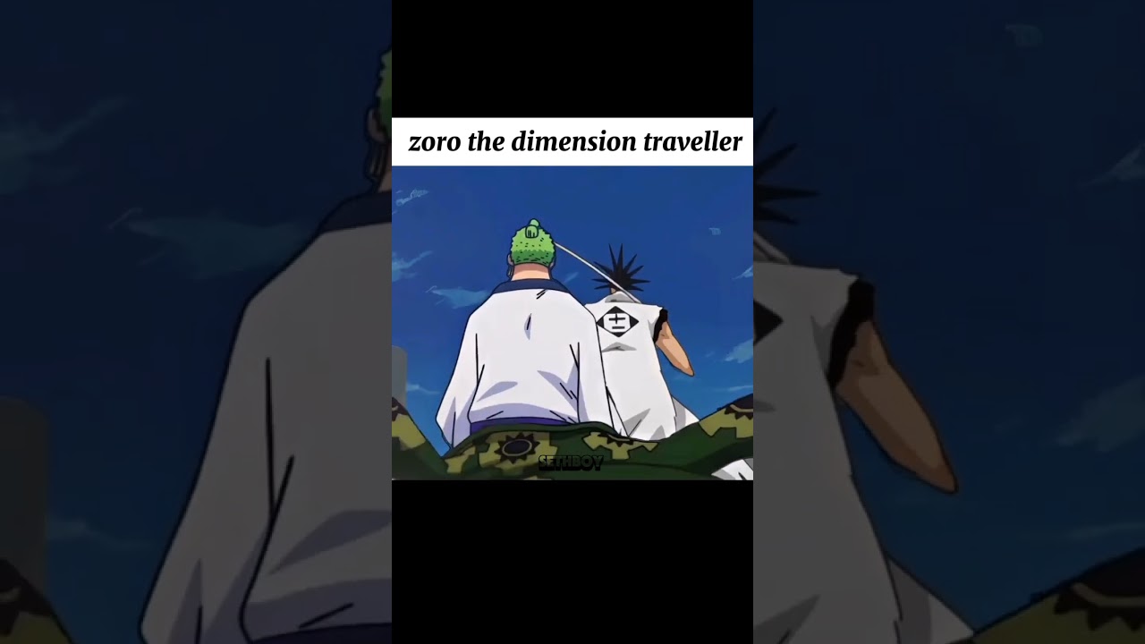 zoro the dimension 