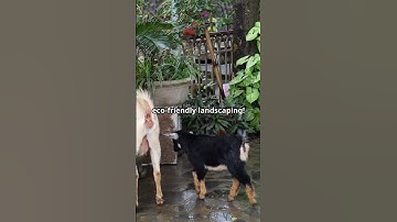 5 facts you didn‘t know about Google