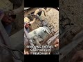 RUST REMOVAL REMOVING ALL REAR END COMPONENTS FORD F-150 2003#repair #rebuilt#parts #ford