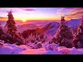 Beautiful winter natural frost (HD1080p)