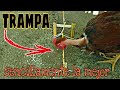 trampa para palomas/ bird trap.