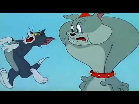 tom and jerry food fight episode tom and jerry food fight episode