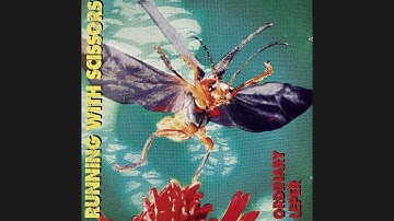 Running With Scissors "Participate" Ordinary Leper 1994