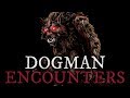 10 Scary Dogman Stories