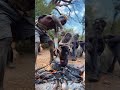 #cooking #africa #dudukwe #wildlife #foodlover #funny #hadzabetribe #animals #village