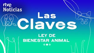 LEY BIENESTAR ANIMAL: ¿En QUÉ CONSISTE? ¿Qué CAMBIOS CONLLEVA en NUESTRO DÍA A DÍA? | RTVE Noticias