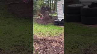 Aunty A Real Ruff Rider