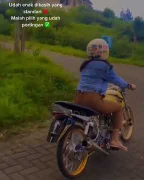 story'wa herex Tiger terondol terbaru pakek kata kata