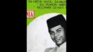 A Ramlie  -  Terlena Di Dalam Dusta Mu