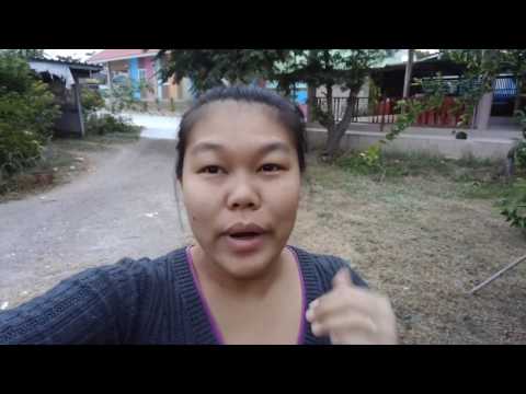 Morning Market in Thailand ตลาดนัดบางตะบูน - Episode 140