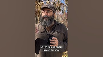 Seed Saving is a Year Round Activity! #seedsaving #shorts