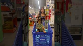 What will @theweens do when she forgets Bandit’s birthday!? 😱 #anythingforpets #petsmart