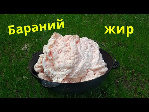 Как использовать бараний жир  Бараний жир применение