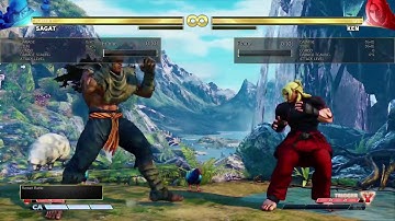 SFVAE v3.6: Sagat tech (zoning)