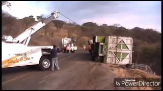 gruas en accion   Jalisco