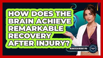 How Does The Brain Achieve Remarkable Recovery After Injury? - Neurotech Insight Pro