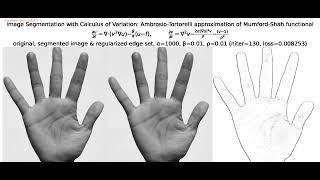 Image Segmentation | Mumford-Shah | Calculus of  Variations |  Ambrosio-Tortorelli Approx | python