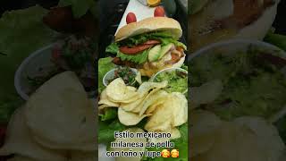 Memo1Chichen,Pollo Mexicano Estilacho