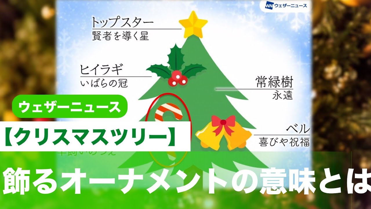 クリスマスツリーに飾るオーナメントの意味とは Youtube