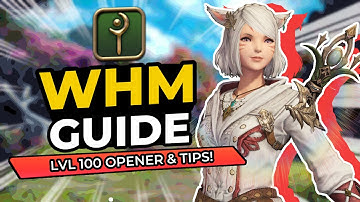 The White Mage Lv100 Dawntrail Guide
