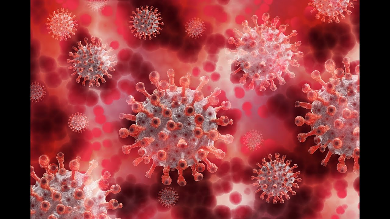 28 февраля 2022. Статистика коронавируса в России на сегодня