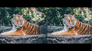 Adobe Photoshop Oil Painting Plugin Tutorial | Free Download | 2019