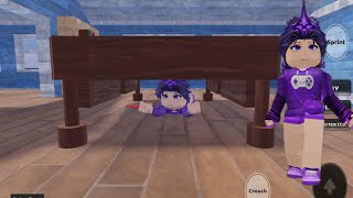 Seekers Vs Hiders 8 Rounds