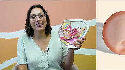 Saalt Disc 101: Menstrual Discs vs. Menstrual Cups