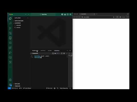 Node.js for Beginners | 2. Setting Up the Development Environment