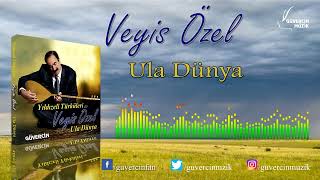 Veyis Özel - Ula Dünya [ Güvercin Müzik ©] Resimi