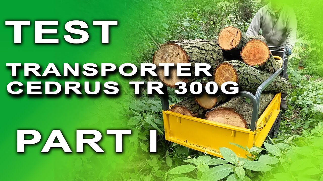 TRANSPORTER CEDRUS TR300G TEST MINI WOZIDŁO W LESIE, PAN RĘBAK I PILARZ AMATOR