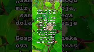 Iz Knjige Psalama Ps 62,2 moli za spasenje i napiši Amen Gospode #bozanskosve #shorts #citati #nada
