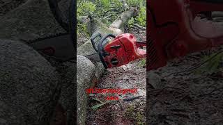 motosierra echo cs620