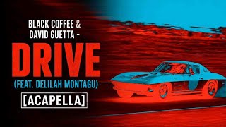 Black Coffee & David Guetta - Drive (feat. Delilah Montagu) [Acapella]
