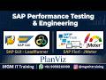 Performance Testing-SAP GUI ECC800 Script recording with LoadRunner VuGen, MGM IT Training