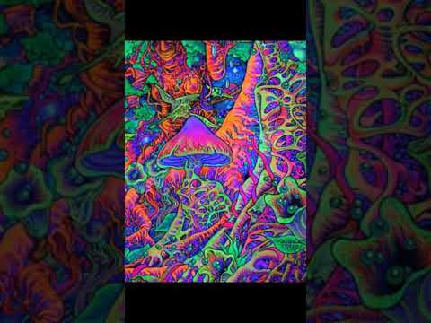 Psychedelic Boyz - Pineal Gland (Audio)