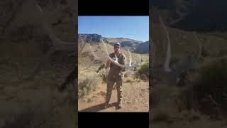 Giant Elk Shed!!!
