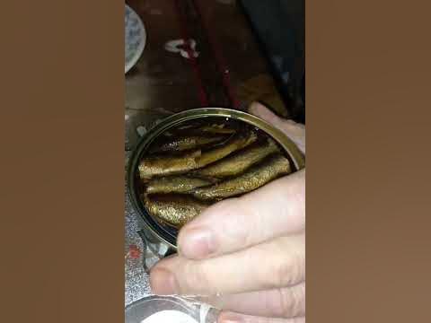 шпроты барс - YouTube