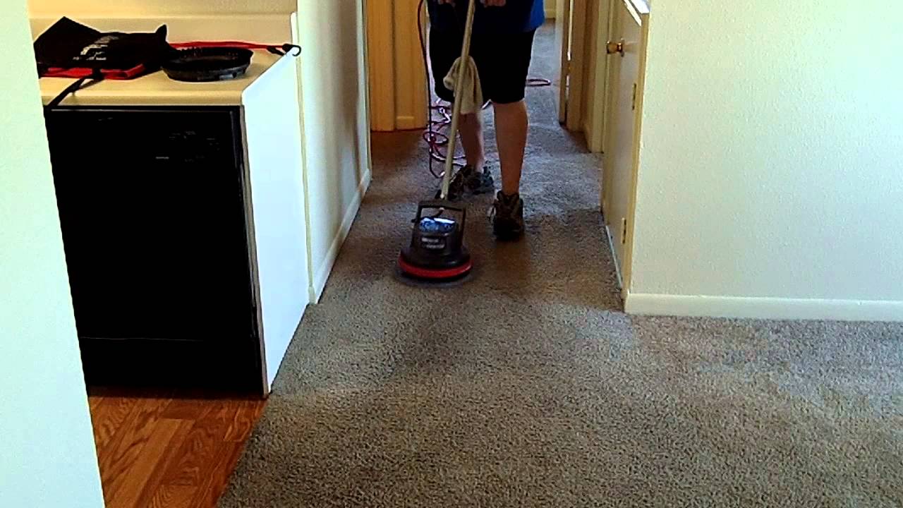 Oreck Orbiter Bonnets LR