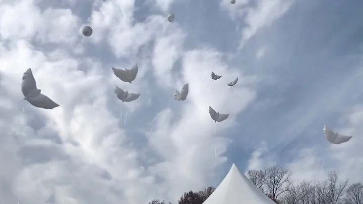 Suzanne Titus, Release of Balloons, Nov. 20, 2021