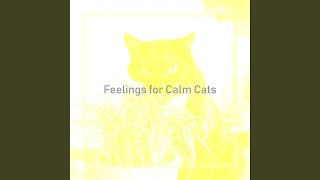 Fiery Cute Cats