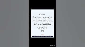 سورة الحج - سورة 22 - اية 30