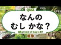 【言葉を覚える】 なんの虫かな?クイズ レベル1 (むしの名前を覚えよう!) ◉insect ◉昆虫 ◉知育 ◉ことば ◉幼児向けアニメ ◉Learn Japanese ◉bug
